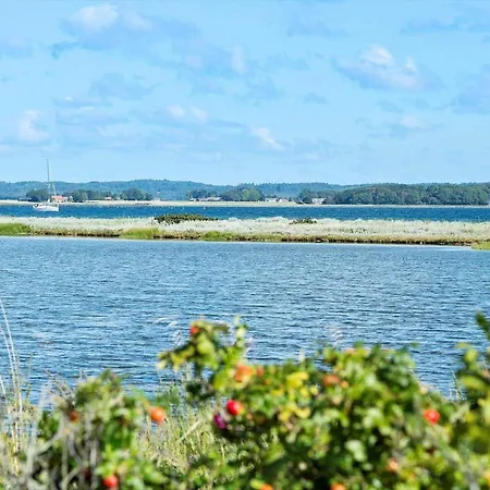 40368-juelsminde-hamborg-88